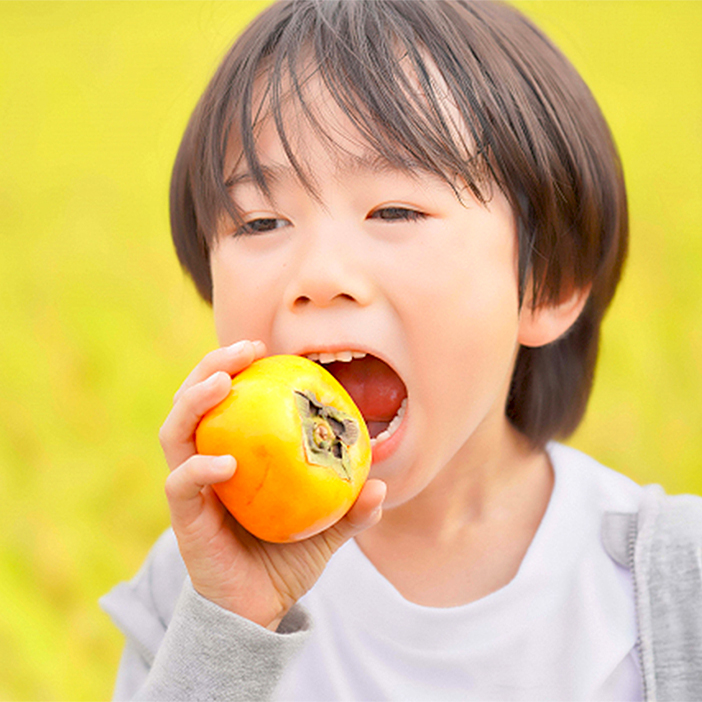 男の子が柿を食べている画像