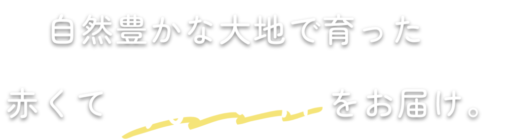 自然豊かな大地で育った赤くてあまーい柿をお届け。